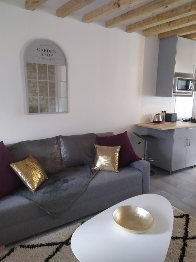 Casa Louka Villa Saint-Aignan  Luaran gambar